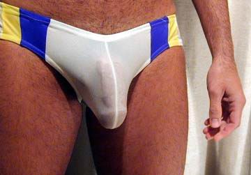 ybwhsheerspeedo3.jpg
