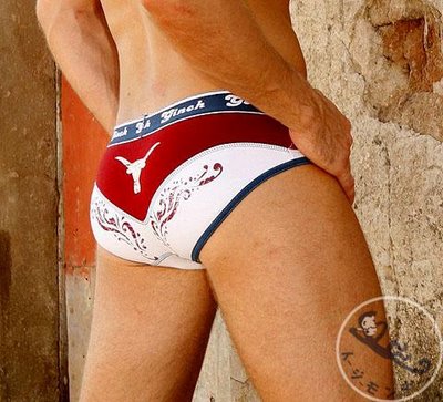 ginch gonch bull.jpg