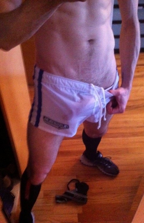 aussieshort (Medium).JPG