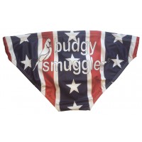 usa_back_.jpg