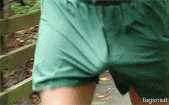 a1.gif