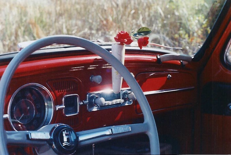 bug-63-beetle.jpg
